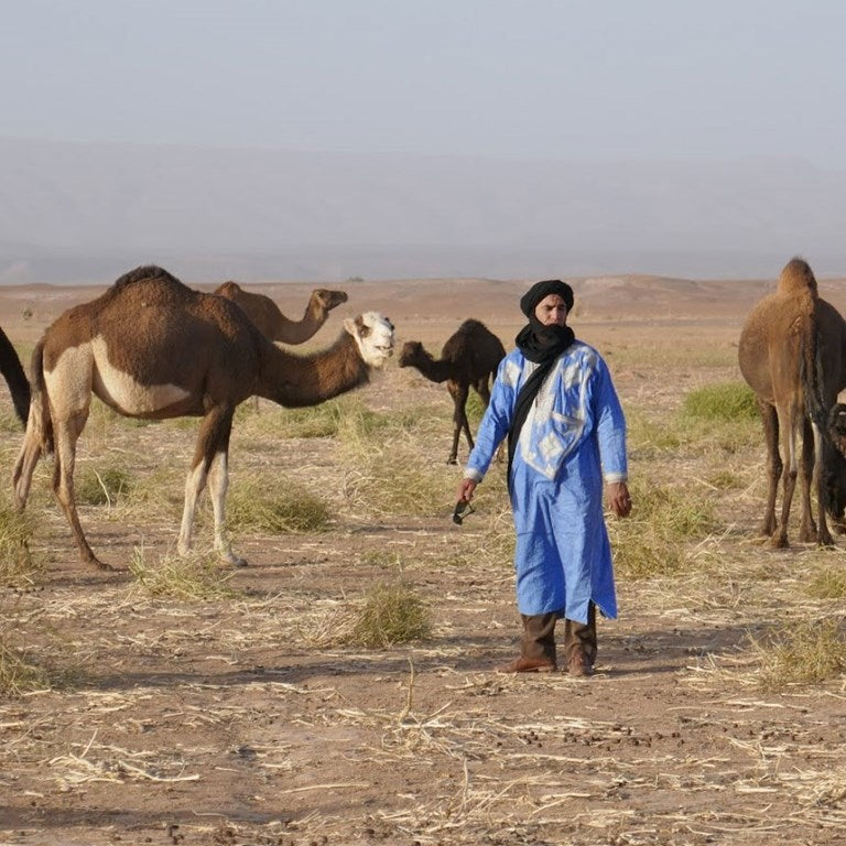 NKC Camperroute Marokko - Arabisch avontuur